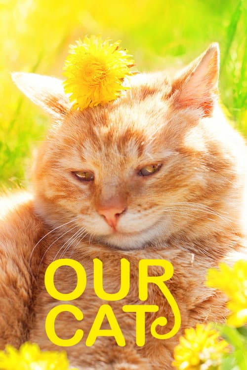 Our Cat poster