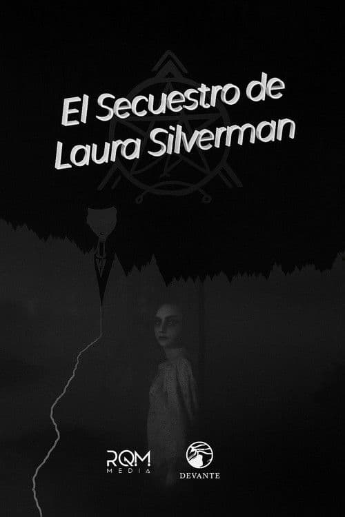 The kidnapping of Laura Silverman poster