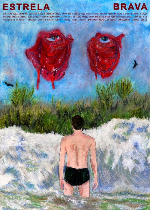 Estrela Brava poster