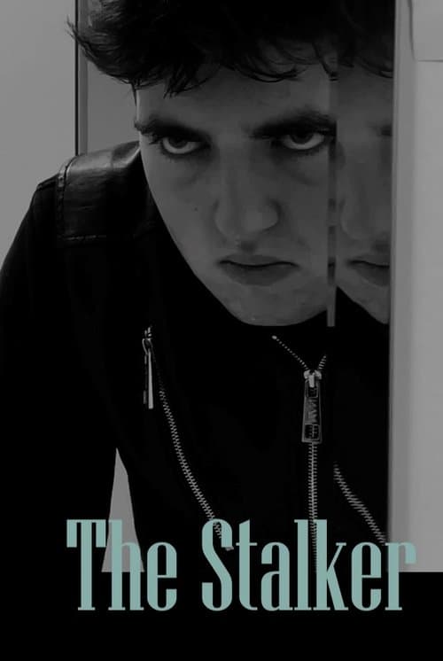 The Stalker poster