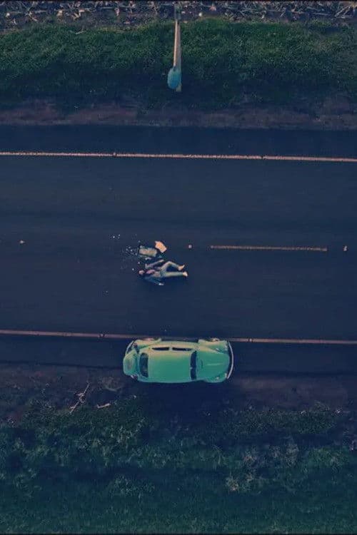 Quase Tudo Sobre Minha Avó poster