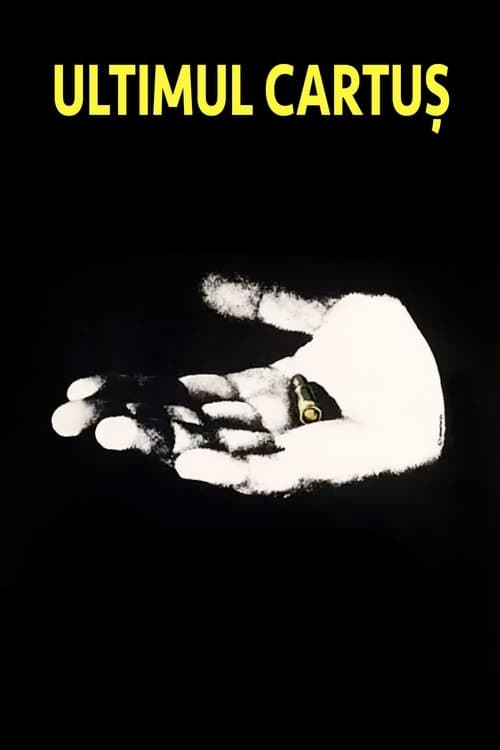 The Last Bullet poster