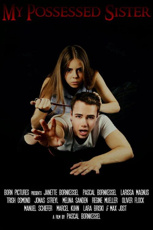 My Possessed Sister poster