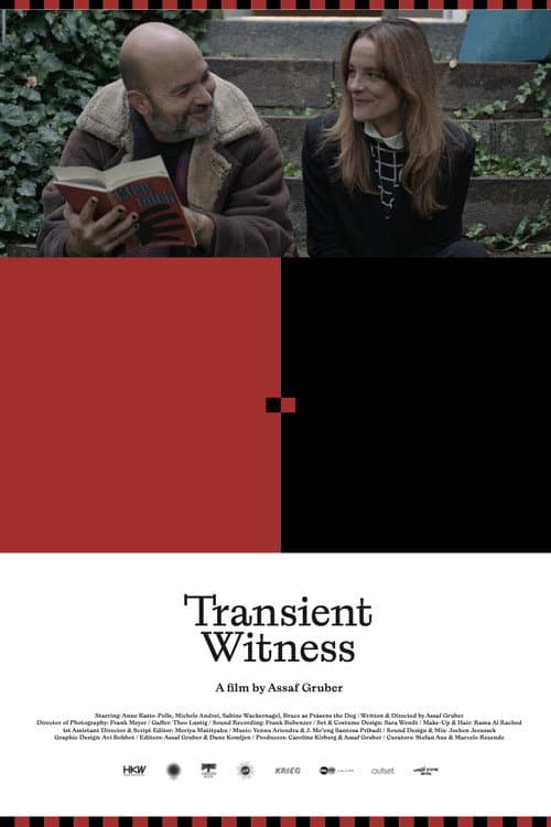 Transient Witness poster