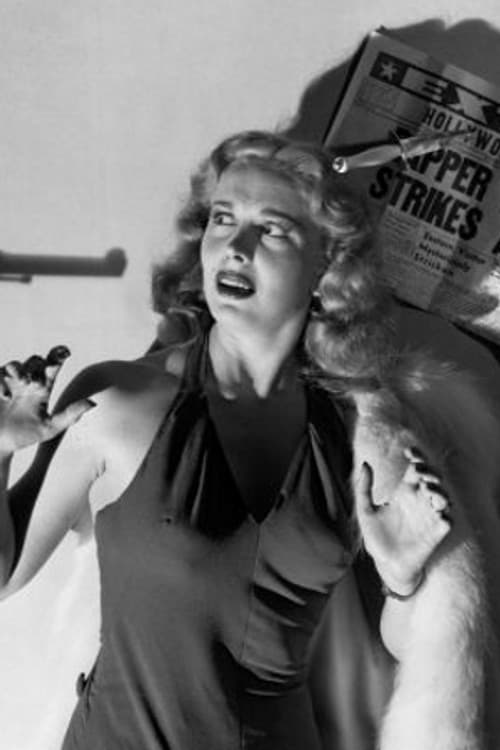 Mary Meade profile photo