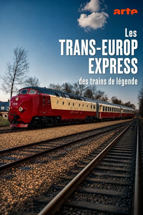 Der Trans-Europ-Express TEE - Legende auf Schienen poster