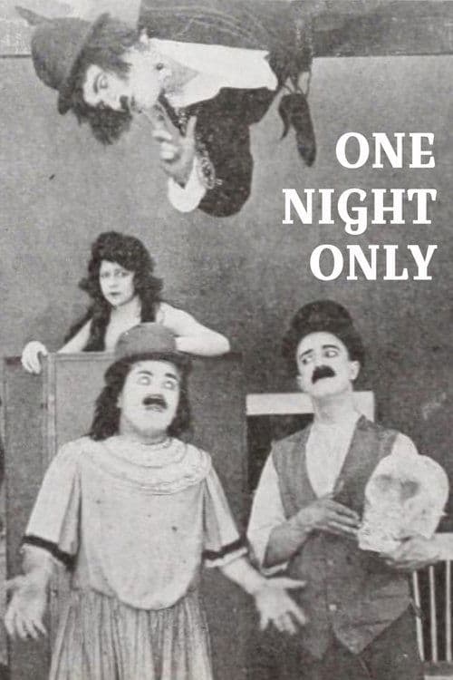 One Night Only poster