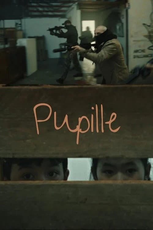 Pupille poster