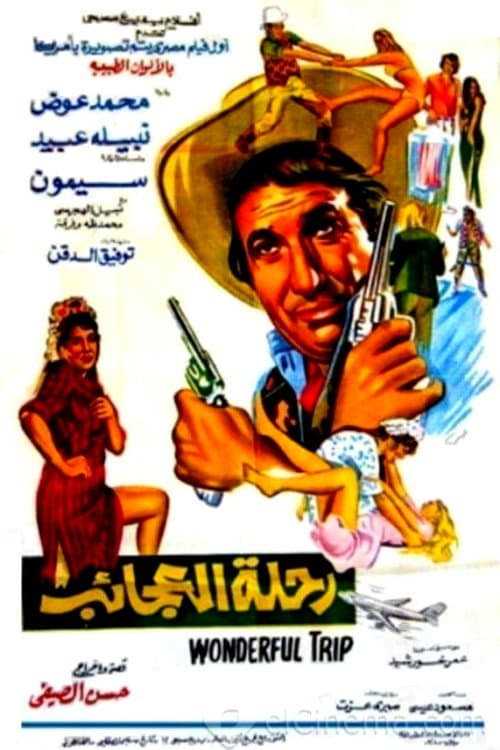 Wonderful Trip poster