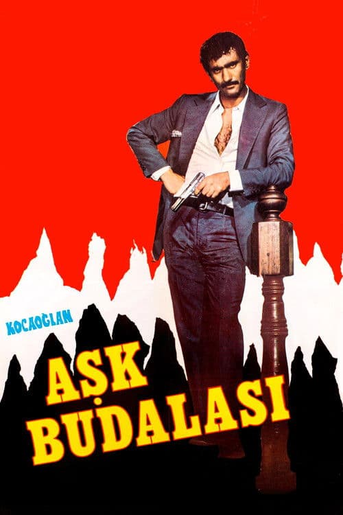Kocaoğlan: Aşk Budalası poster