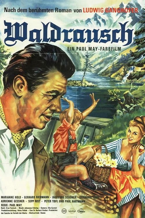 Waldrausch poster