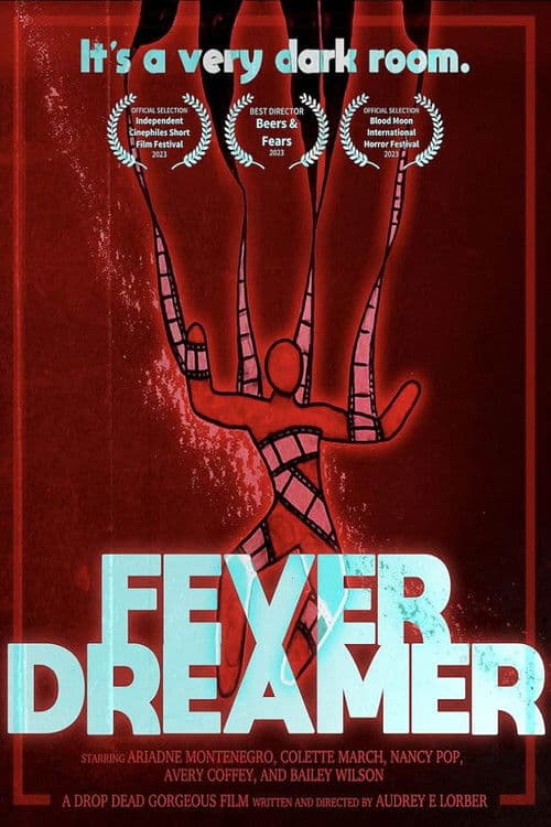Fever Dreamer poster