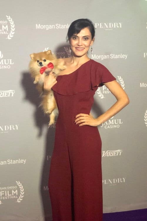 Stare Yildirim profile photo