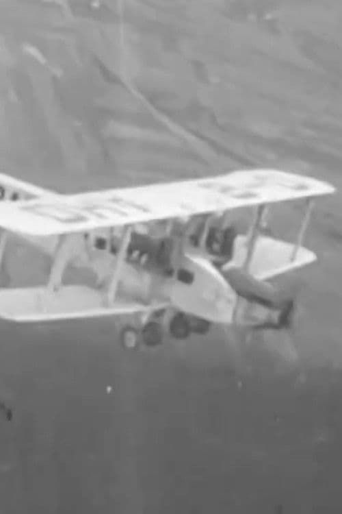 What We Said to Brussels Airlines poster