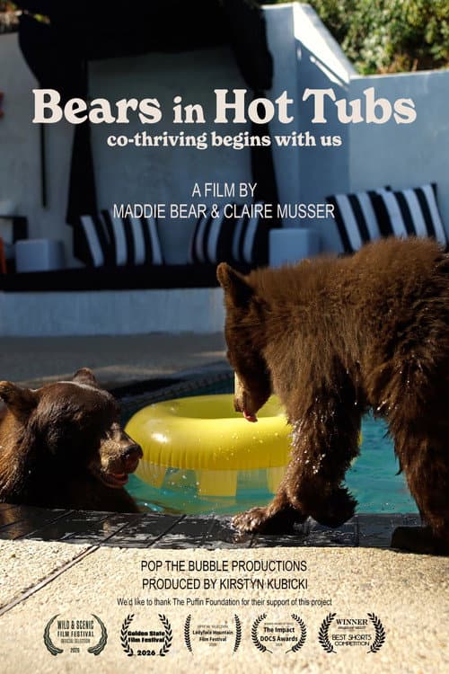 Bears in Hot Tubs poster