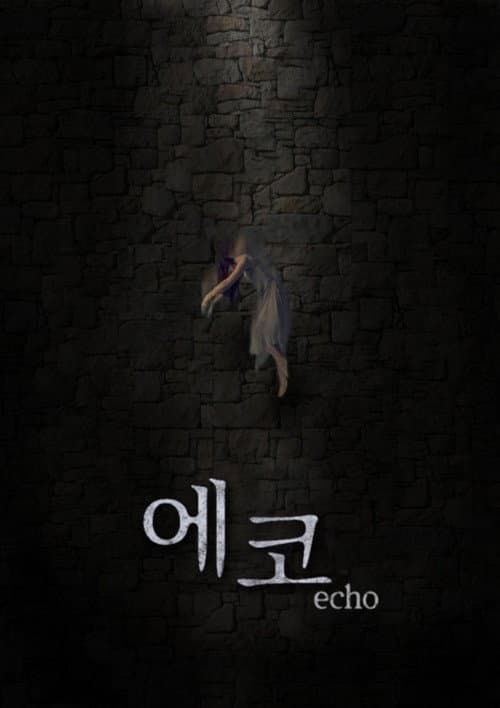 Echo poster