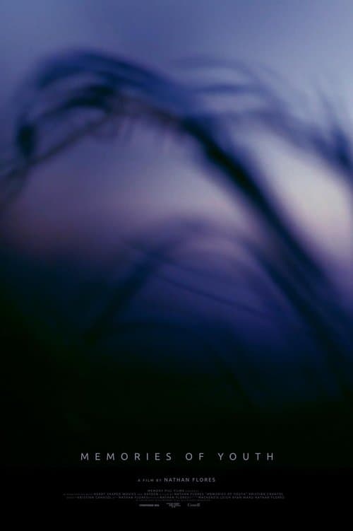 Memories of Youth poster