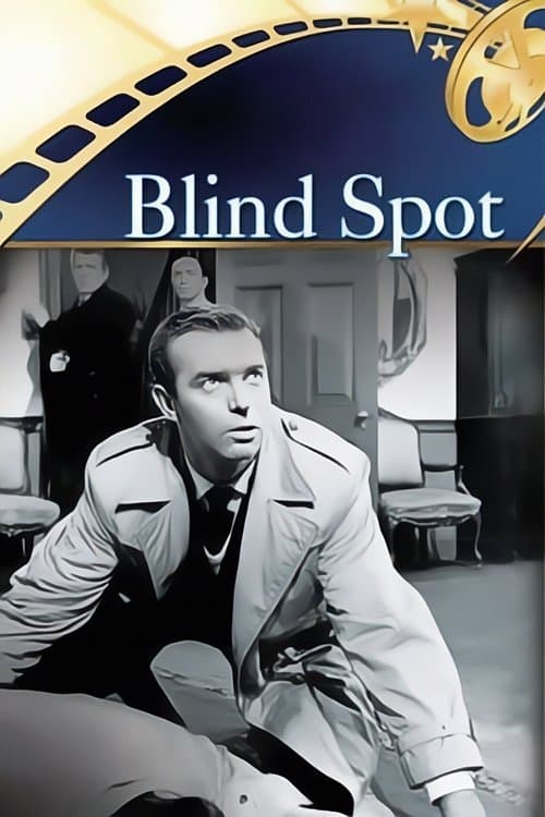 Blind Spot poster