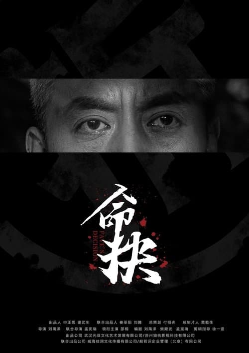 命抉 poster