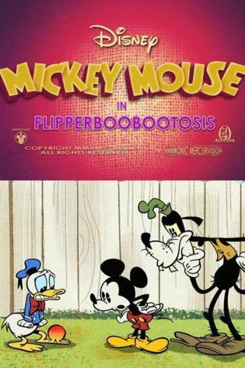 Flipperboobootosis poster