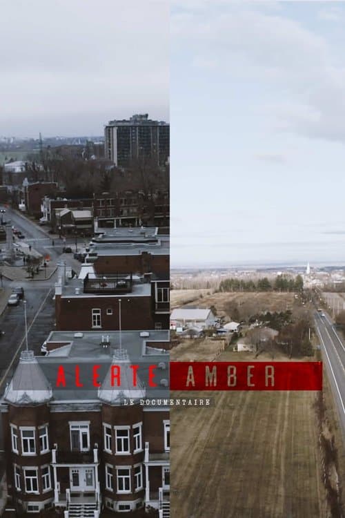 Alerte amber : le documentaire poster