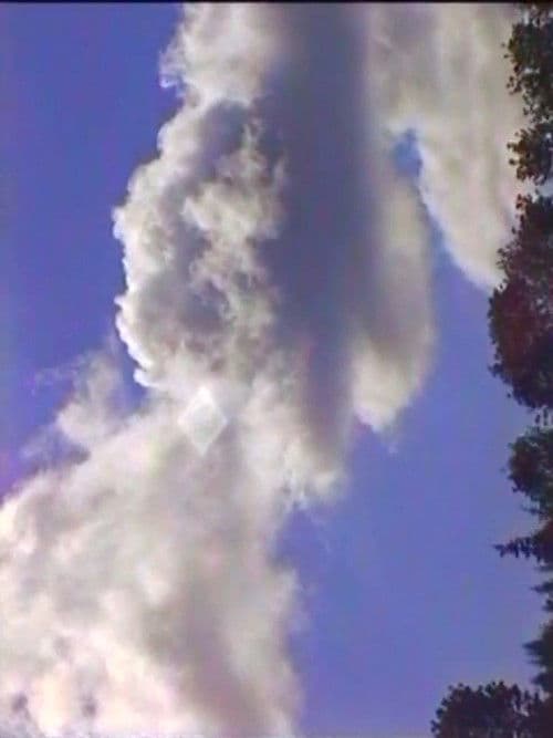 Spring (The Laundry Lesson) poster