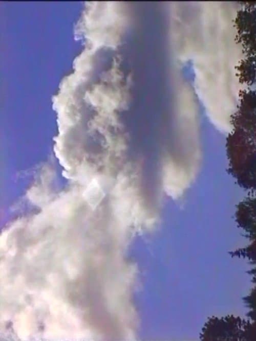 Spring (The Laundry Lesson) poster