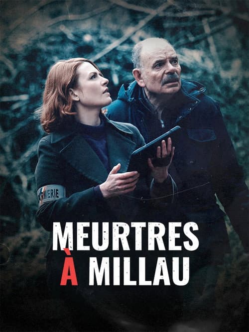 Meurtres à Millau poster