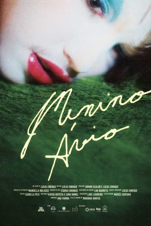 Menino Ávio poster