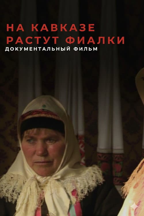 Violets Blossom in the Caucasus poster