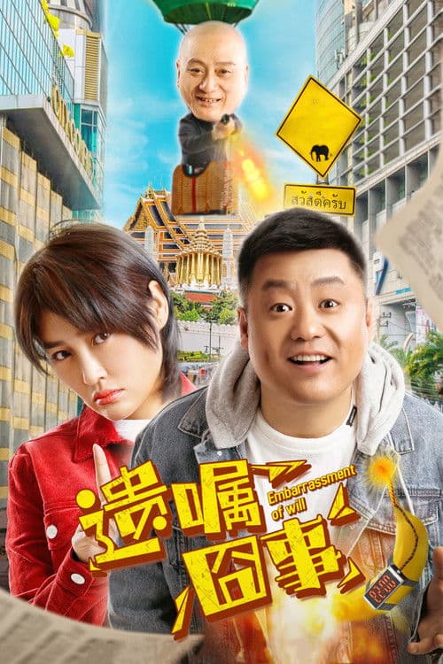 Embarrassment of Will poster