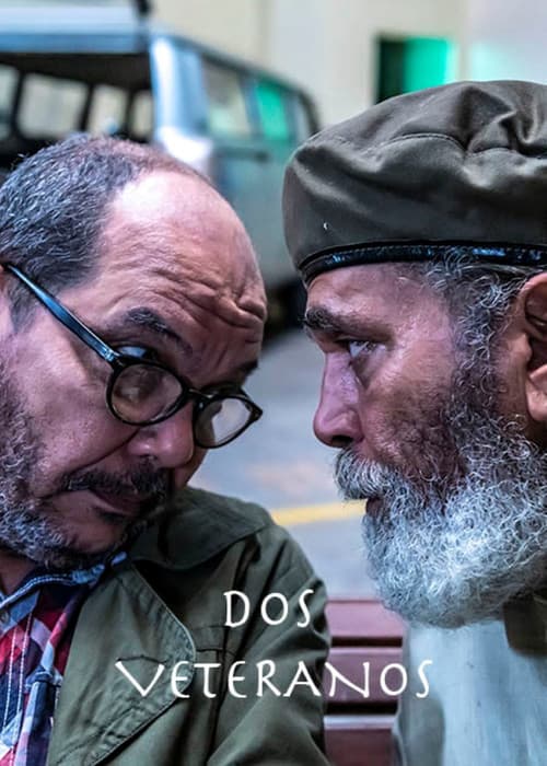 Dos veteranos poster