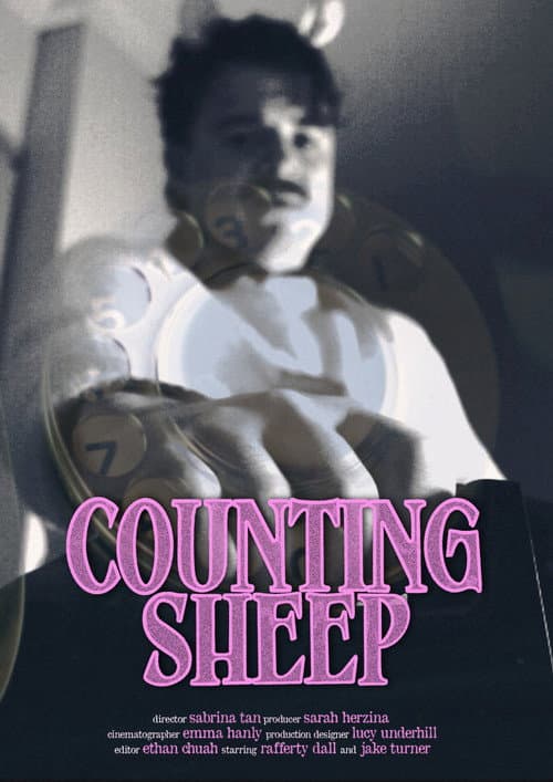 Counting Sheep poster