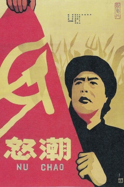Nu chao poster