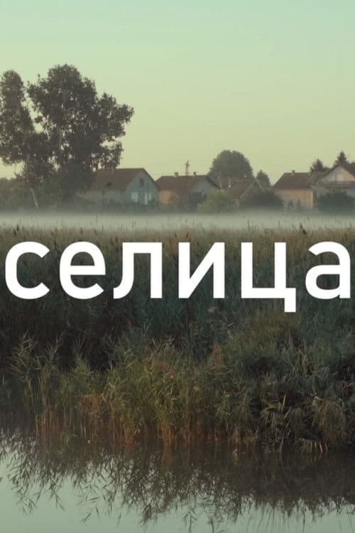 Migratory Bird poster