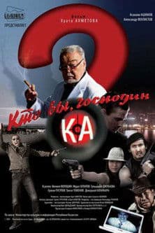 Who Are You Mr. K? poster