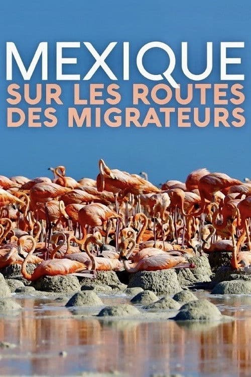 Mexique, sur les routes des migrateurs poster