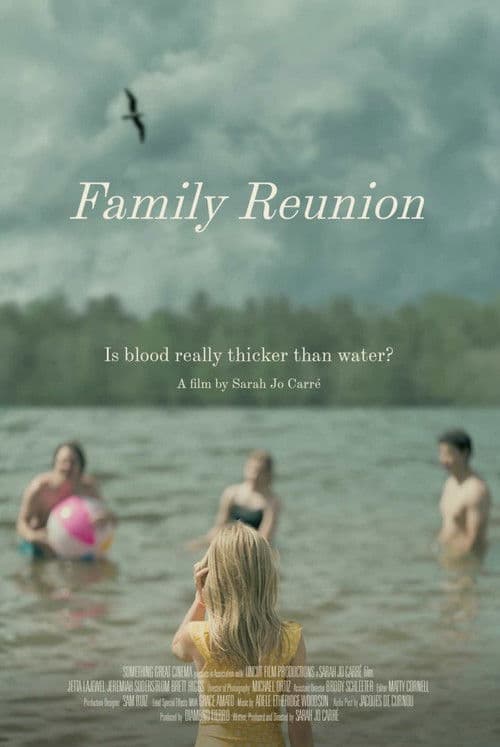 Family Reunion poster