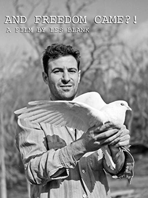 And Freedom Came?! poster