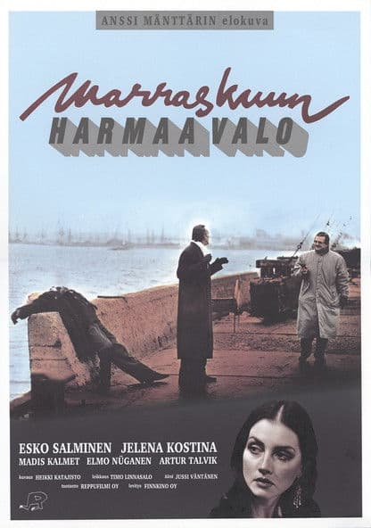 Marraskuun harmaa valo poster