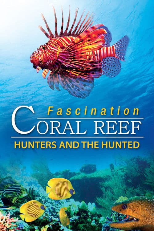 Fascination Coral Reef: Hunters and the Hunted poster