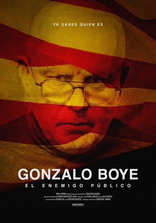 Gonzalo Boye, el enemigo público poster