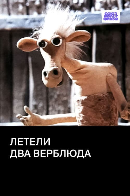 Two Camels Were Flying poster