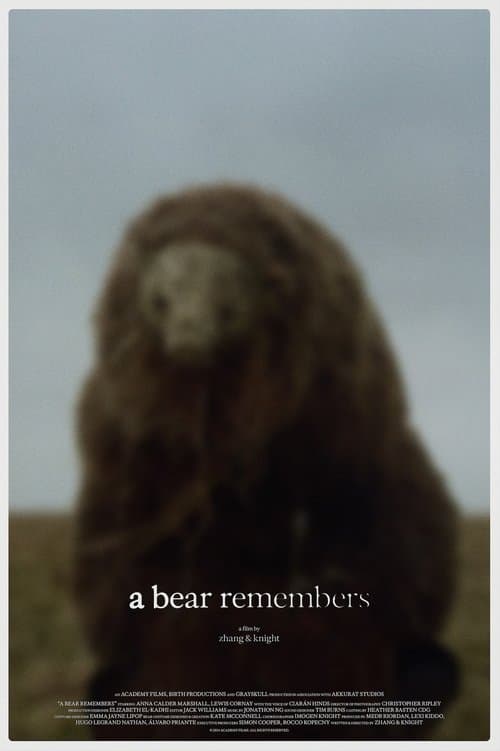 A Bear Remembers poster