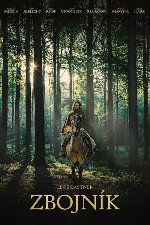 Zbojník poster