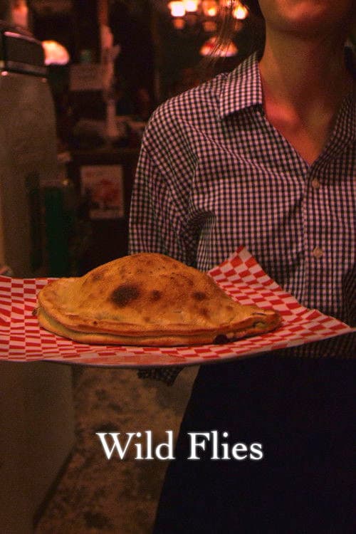 Wild Flies poster