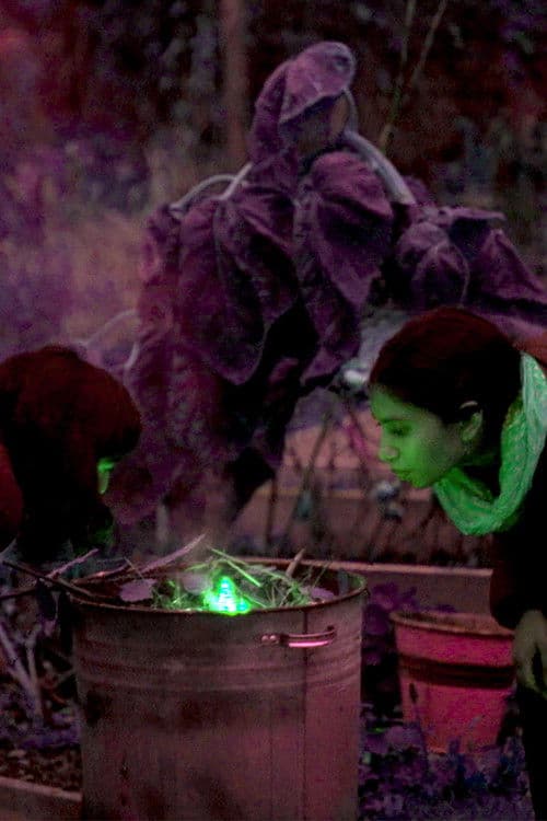 Your Ecstatic Self poster