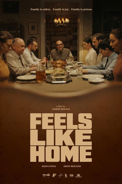 Feels Like Home poster