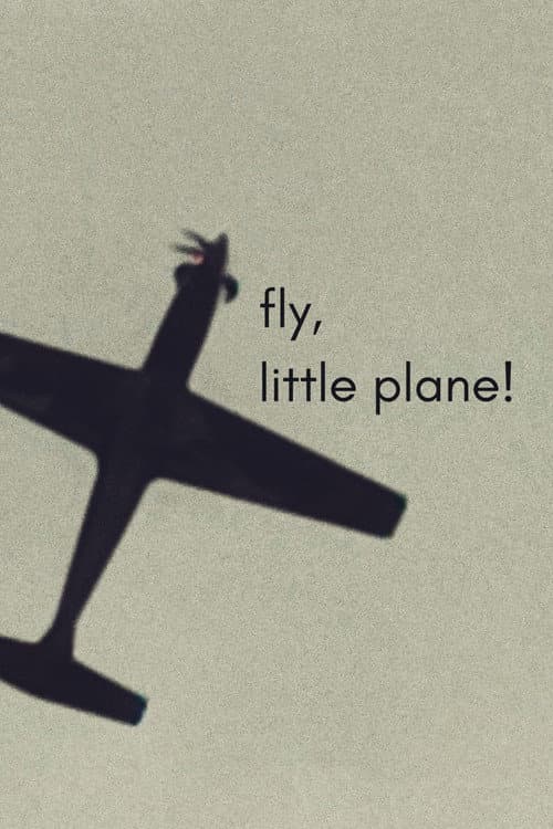 fly, little plane! poster