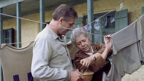 The Castle in Bohemia poster